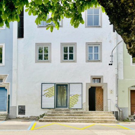 Zinshaus in Bestlage der Steyrer Altstadt