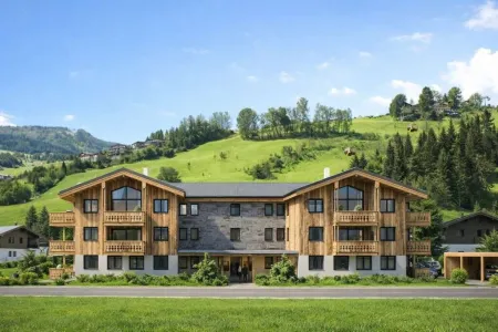 Business trifft Bergpanorama - Arbeiten, behandeln und investieren