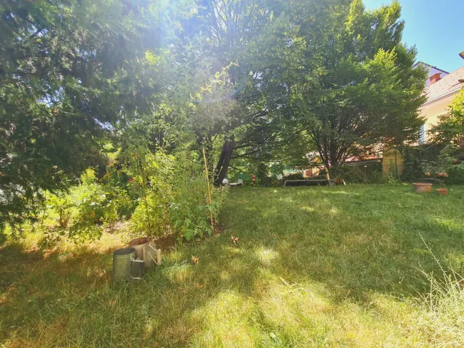 Garten-Altbau mit Balkon zur individuellen Gestaltung - Titelbild