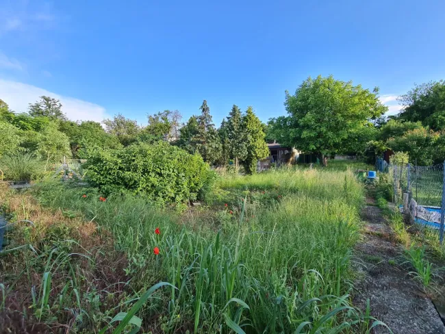 Traum-Eigengrund | Friedhof Großjedlersdorf - Bild