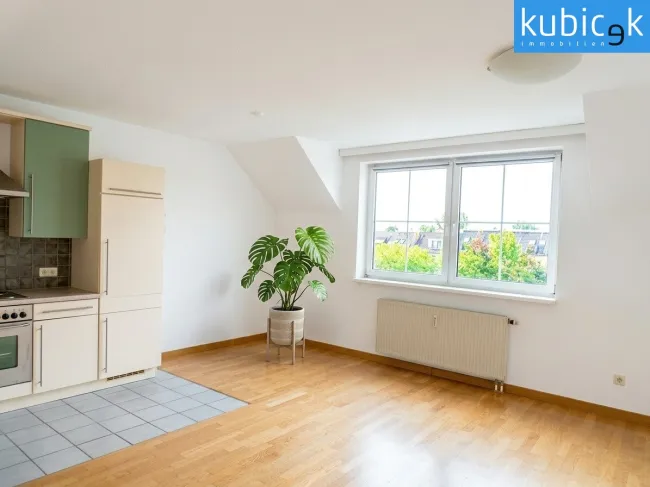 Wohn- Esszimmer mit integrierter Küche