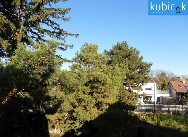 Ausblick OG