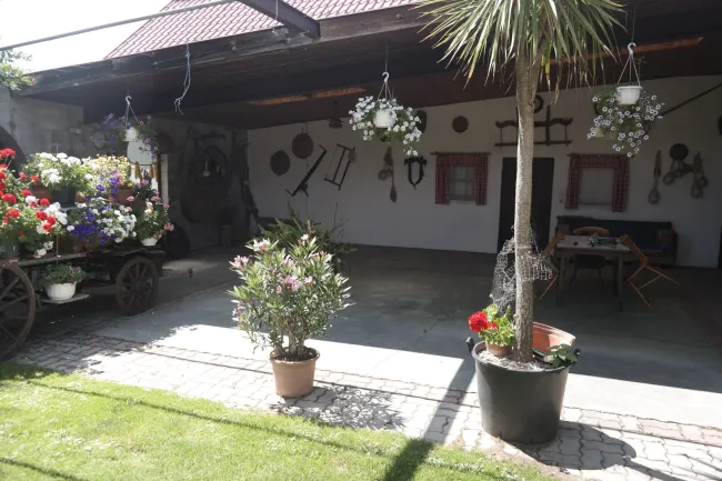 Ehemaliges Gasthaus mit traumhaftem Grundstück in Großmürbisch bei Güssing - Bild