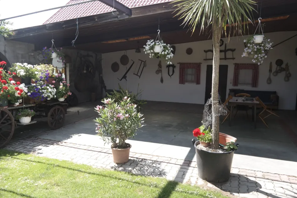 Ehemaliges Gasthaus mit traumhaftem Grundstück in Großmürbisch bei Güssing - Bild