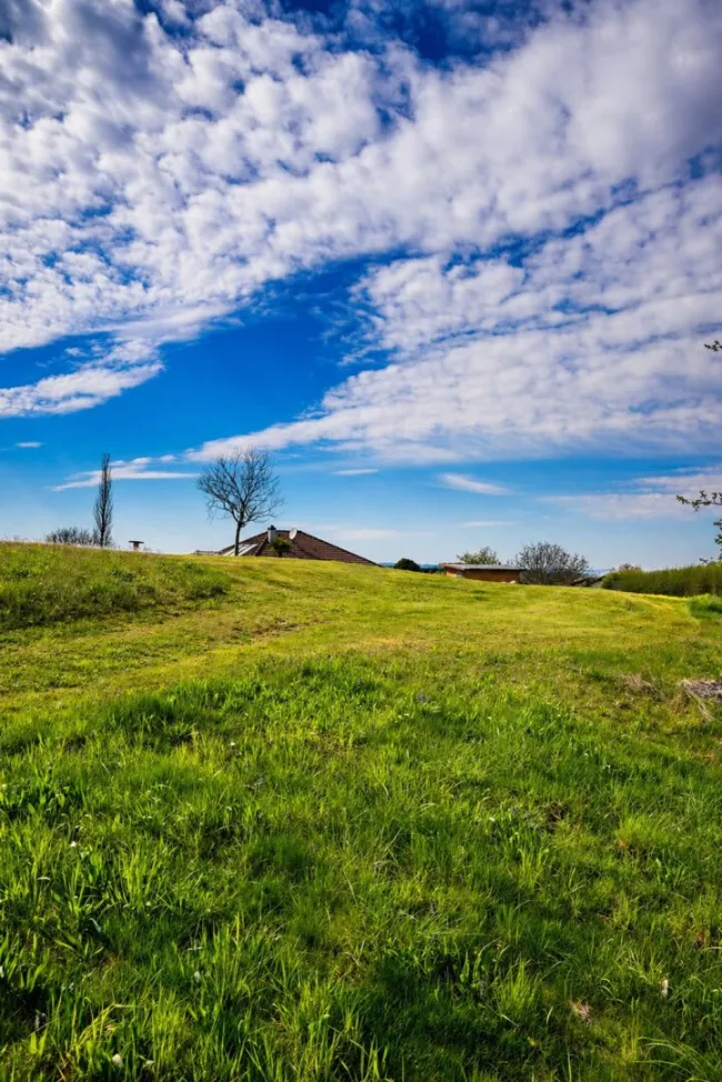 Ihr Traumgrund in Schalchen - Ruhelage - Bild