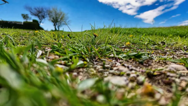 Ihr Traumgrund in Schalchen - Ruhelage - Bild