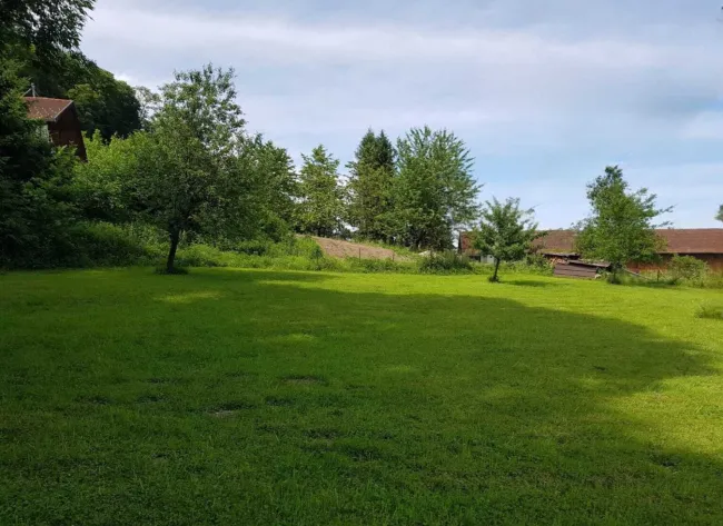 Grundstück in Uttendorf – großzügige Fläche mit Baugrund, Garten- und Waldanteil 🌿 - Bild
