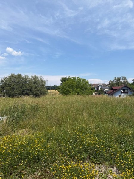 Gewerbeobjekt mit ca. 4.954 m² Grund in St. Pantaleon