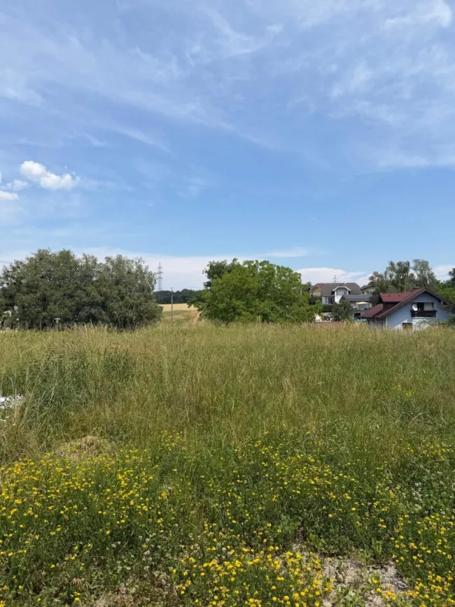Gewerbeobjekt mit ca. 4.954 m² Grund in St. Pantaleon - Bild