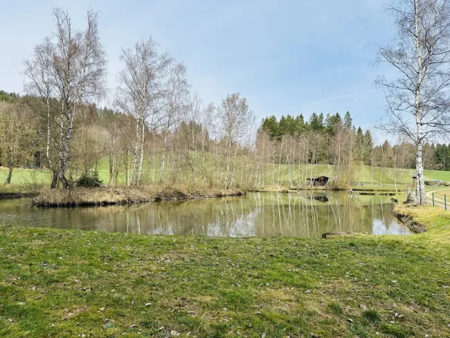 Idyllisches Freizeitdomizil in absoluter Ruhelage – Ein Paradies für Naturliebhaber - Bild