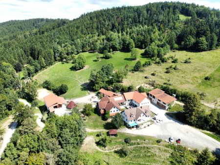 Traumanwesen für Pferdeliebhaber in Alleinlage mit ca. 13 ha - Wanderreiten im Pferdereich Mühlviertler Alm !!