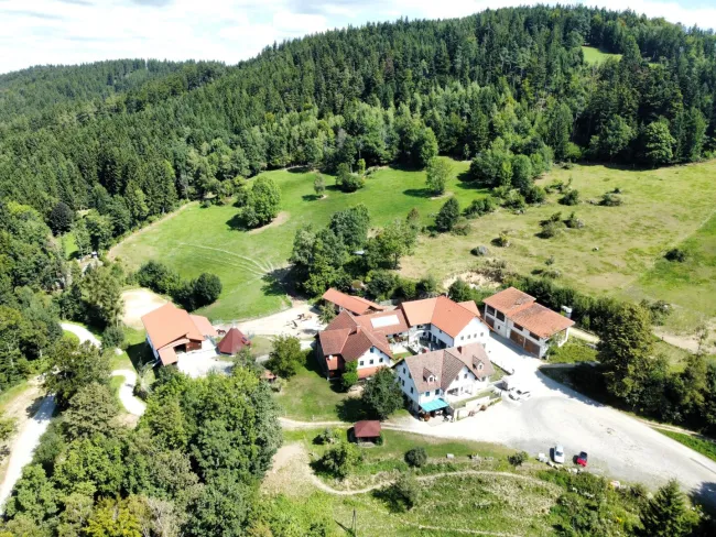 Traumanwesen für Pferdeliebhaber in Alleinlage mit ca. 13 ha - Wanderreiten im Pferdereich Mühlviertler Alm !! - Bild
