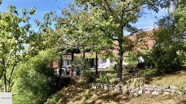 Einzigartiges Anwesen im Südburgenland – 5 ha | Skulpturenpark | ca. 2.000 mᒾ Naturteich - Titelbild