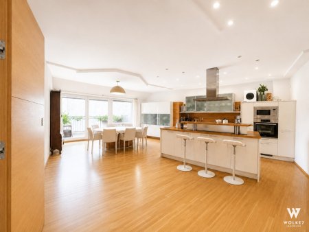 Großzügige Dachgeschosswohnung in Bestlage mit drei Terrassen und Fernblick über den Süden - Nähe Haus des Meeres | U3 Neubaugasse