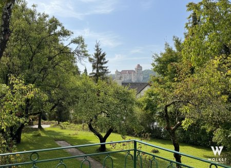IMG_4688