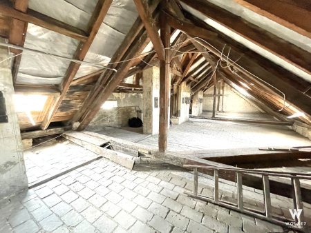 Zinshaus mit Rohdachboden | 2 Stiegen | Hyrtlgasse nähe Thaliastraße | Panikengasse