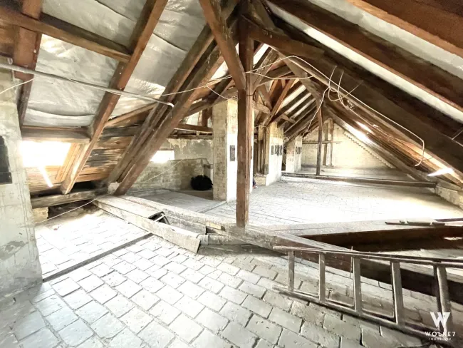 Zinshaus mit Rohdachboden | 2 Stiegen | Hyrtlgasse nähe Thaliastraße | Panikengasse - Bild