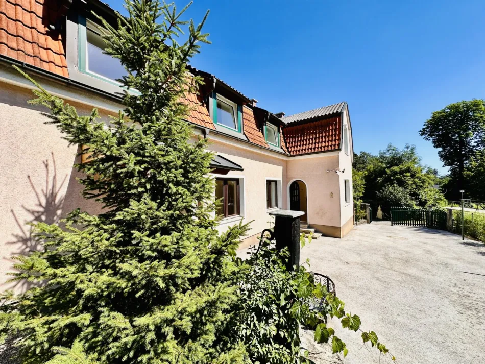 Mehrfamilienhaus mit Garten zum Kauf in Ruhelage in Pottschach - Bild