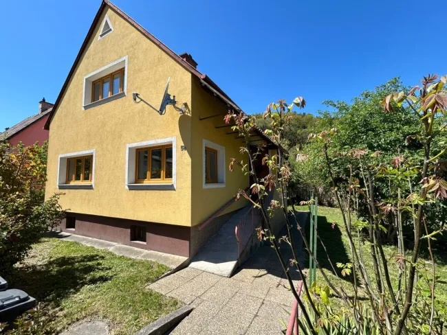 Familienhaus mit Garten, Nebengebäude & moderner Pelletsheizung in Gloggnitz - Bild