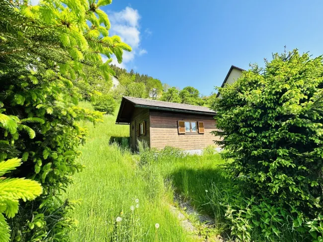Baugrundstück mit 923 m² (südöstlich ausgerichtet) zum Kauf in Mürzzuschlag! - Bild