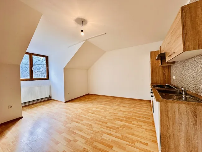 Attraktive, bereits vermietete 3-Zimmer Wohnung mit Garten - ideales Anlageobjekt - Bild
