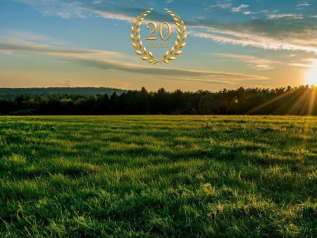 Ackerland in der Region 2620 – Ideale landwirtschaftliche Nutzfläche zu kaufen. Zum Verkauf steht eine attraktive Ackerfläche mit einer Gesamtgröße von ca. 4,04 Hektar in guter landwirtschaftlicher Lage.