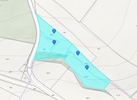 Großzügige Grünlandfläche in Raglitz