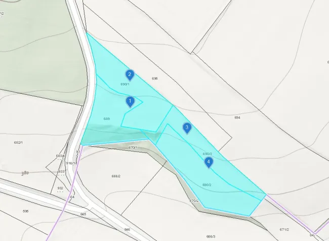 Großzügige Grünlandfläche in Raglitz - Titelbild