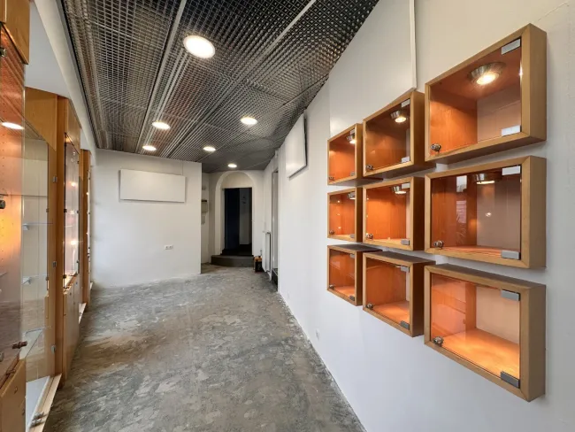 Helles Geschäftslokal im Herzen von Wiener Neustadt - Bild
