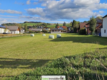 667m2 ebener Baugrund in 4542 Nussbach zu verkaufen
