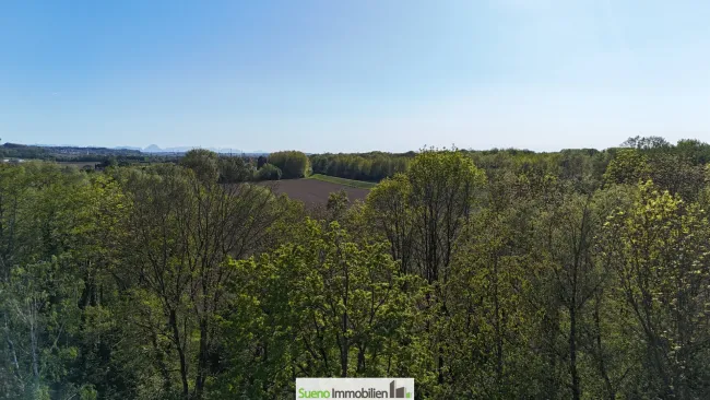 Blick in die Traun-Au hinter dem Haus (Drohnenfoto)