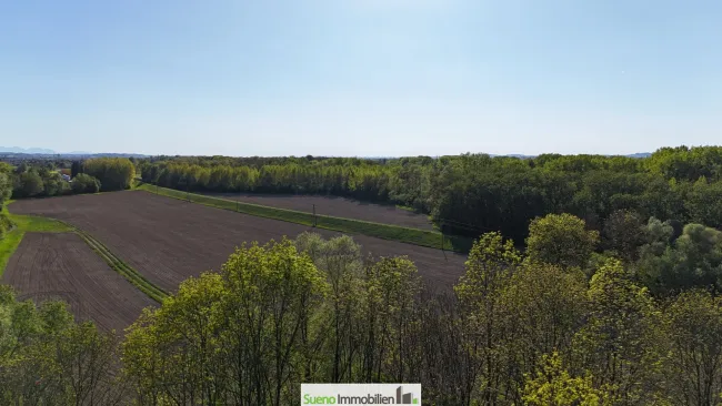 Blick zur Traun-Au / Spazierweg am Damm / Drohnenfoto