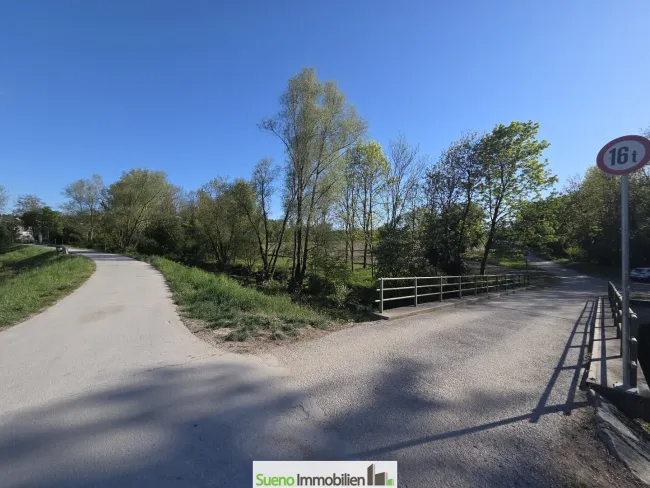 Spazierweg hinter dem Haus in die Traun Au