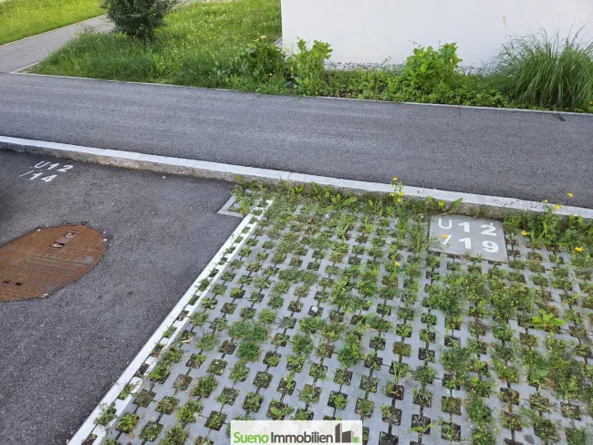 Stellplatz 19 Außenbereich