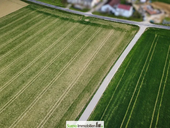 Mit Ihrem Acker eine nachhaltig Zukunft gestalten! - Titelbild