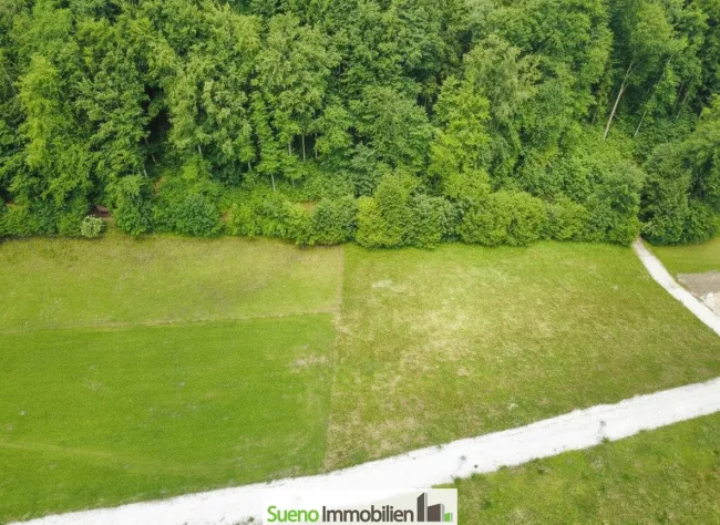 Mehr als nur ein Baugrund: Großzügiges Grundstück mit landwirtschaftlicher Nutzfläche - Bild