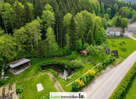Naturparadies für Pferdehaltung, Therapie und innovative Konzepte
