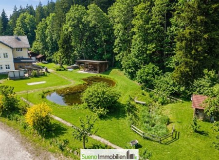 Naturparadies für Pferdehaltung, Therapie und innovative Konzepte