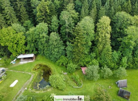 Naturparadies für Pferdehaltung, Therapie und innovative Konzepte