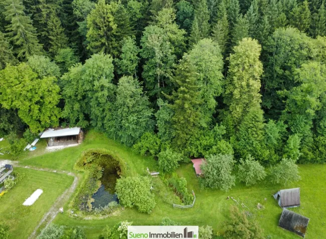 Naturparadies für Pferdehaltung, Therapie und innovative Konzepte - Bild