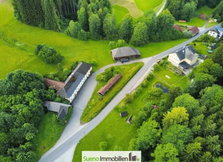 Naturparadies für Pferdehaltung, Therapie und innovative Konzepte
