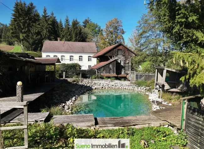 ALLEINLAGE-Traum neben Bach samt Teich/Biotop - Bild