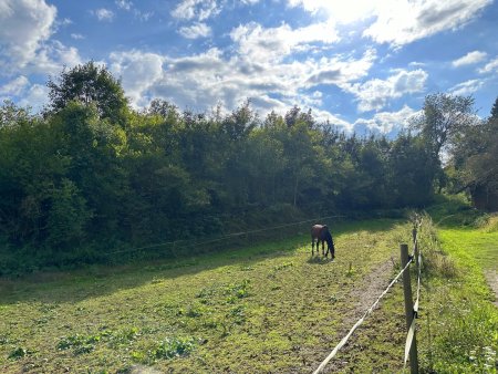 Attraktives Baugrundstück im Norden Klagenfurts