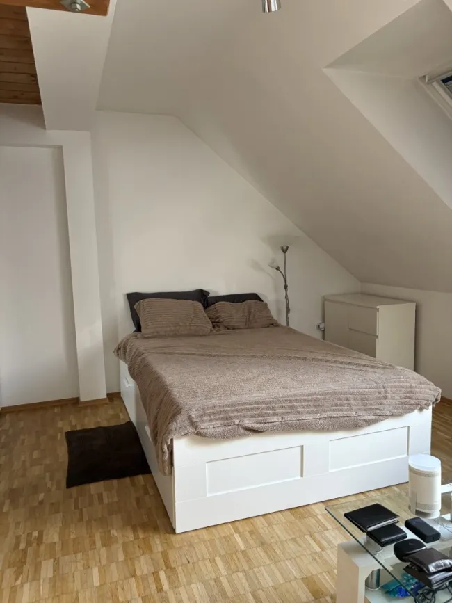 Gemütliche Dachgeschosswohnung mit Galerie in bester Grazer Lage - Titelbild