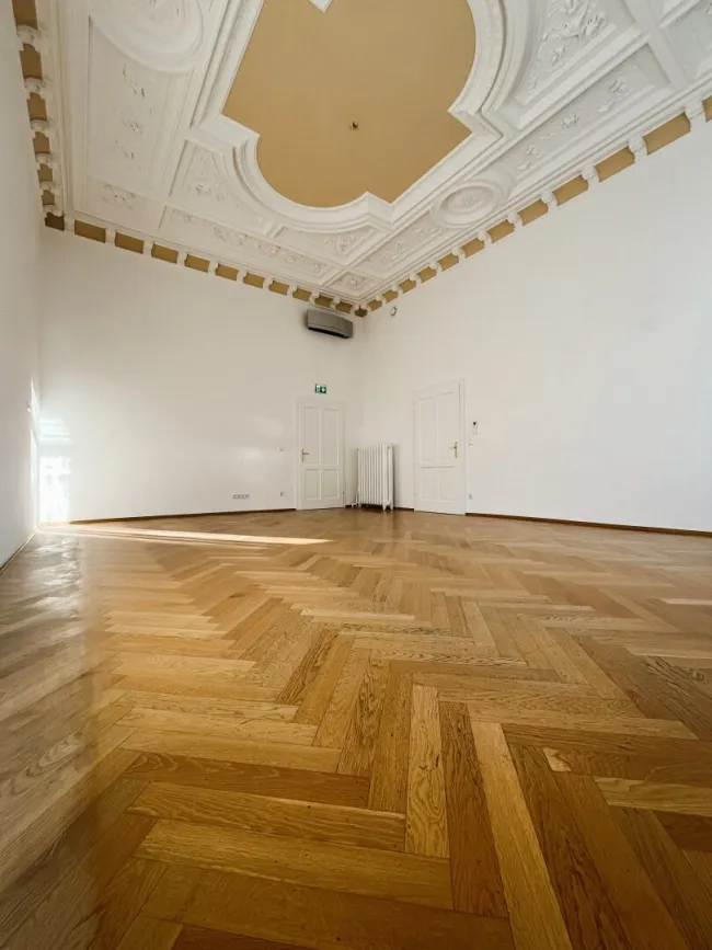 Repräsentatives Stadtbüro in Top-Lage am Joanneumring in Graz - Bild