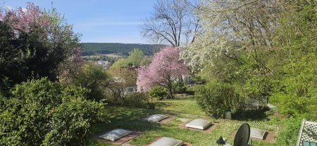 Großes Grundstück - 2.209m² - inkl. Doppelgarage und Wellnessbereich - MARKT PIESTING