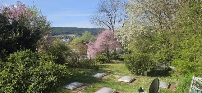 Großes Grundstück - 2.209m² - inkl. Doppelgarage und Wellnessbereich - MARKT PIESTING - Titelbild