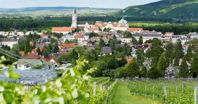 Wohnen am Fuße des Ölbergs - Sanierter Altbau - 2.000m² Grund - Bild