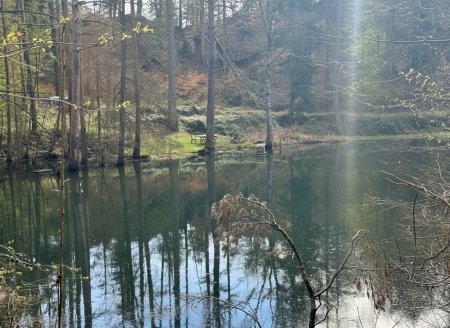 Teich