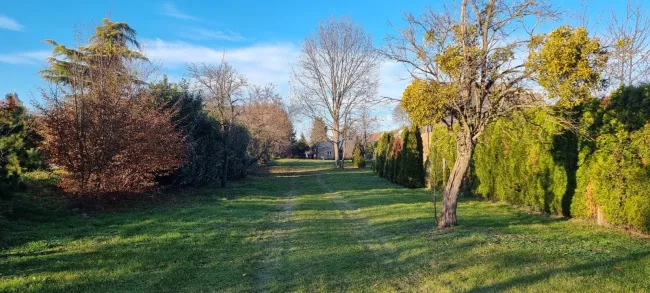 Baugrundstück in Lutzmannsburg - Bild